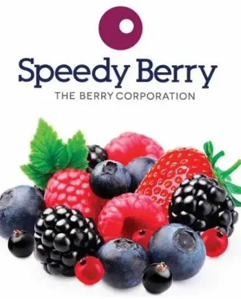 Mixed Berries IQF 1kg