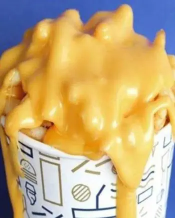 Anita Cheese Sauce 5 x 1kg (Pure Diary)